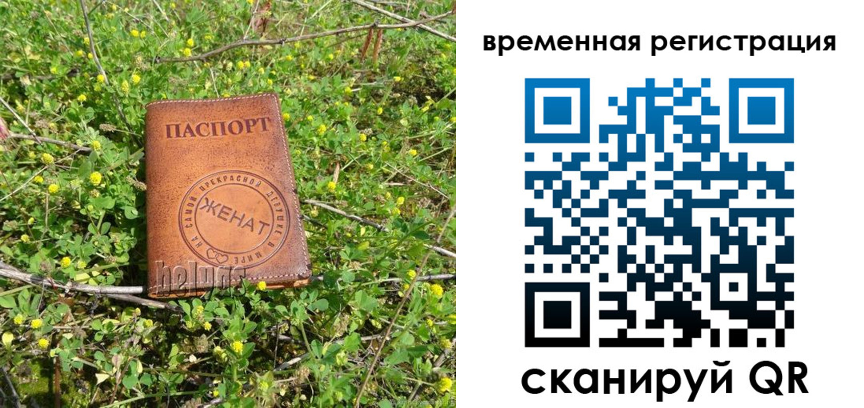 прописка регистрация в Рязанской области